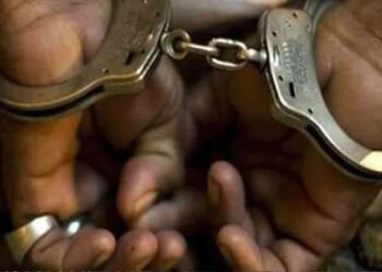 வாளால் பெண்ணை தாக்கிய நபர் துப்பாக்கியுடன் கைது!