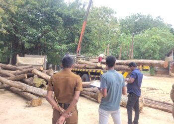 கடத்தப்பட்ட ரூ.30 இலட்சம் பெறுமதியான மரக்குற்றிகள் பறிமுதல்!