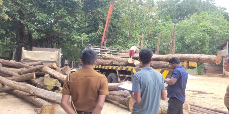 கடத்தப்பட்ட ரூ.30 இலட்சம் பெறுமதியான மரக்குற்றிகள் பறிமுதல்!