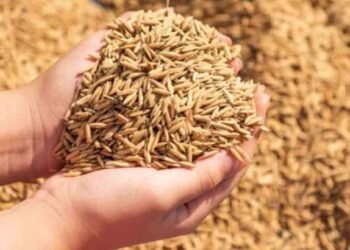 நெல் விலையை அதிகரிக்க அரசின் நடவடிக்கை – விவசாயிகளுக்கு நிவாரணம்!