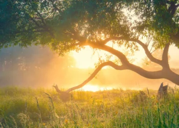 இன்றைய வானிலை