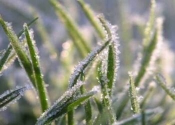 வாட்டி வதைக்கும் குளிர்! 3.5 பாகைக்கு அதிரடியாகச் சரிந்தது நுவரெலியா