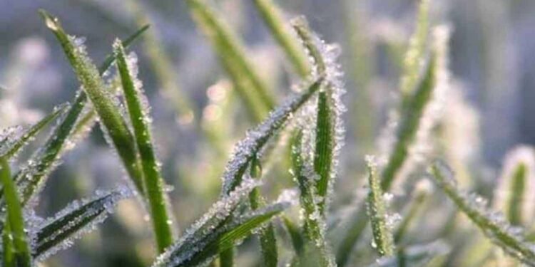 வாட்டி வதைக்கும் குளிர்! 3.5 பாகைக்கு அதிரடியாகச் சரிந்தது நுவரெலியா