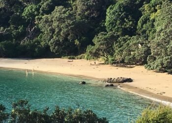 Sandy bay கடற்கரை குறித்து ஜனாதிபதி முக்கிய உத்தரவு