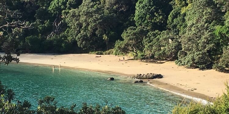 Sandy bay கடற்கரை குறித்து ஜனாதிபதி முக்கிய உத்தரவு