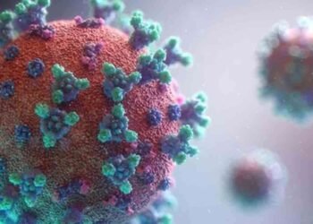 குளிர் காலநிலையுடன் வைரஸ் நோய்கள் பரவும் அபாயம்