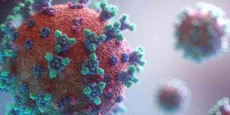 குளிர் காலநிலையுடன் வைரஸ் நோய்கள் பரவும் அபாயம்