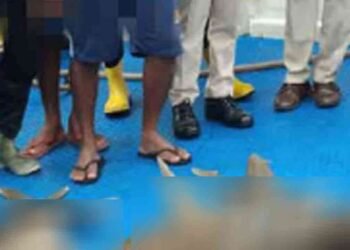 800 கிலோ சுறா மீன்களுடன் 7 நபர்கள் கைது!