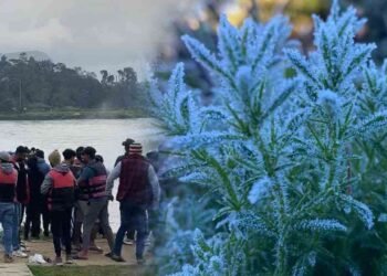 நுவரெலியாவில் குவியும் சுற்றுலாப் பயணிகள்