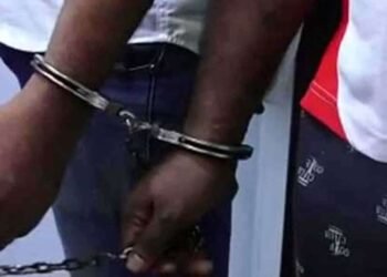 582 கிலோ கஞ்சாவுடன் இருவர் கைது