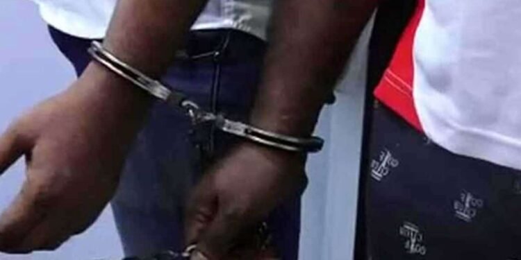 582 கிலோ கஞ்சாவுடன் இருவர் கைது