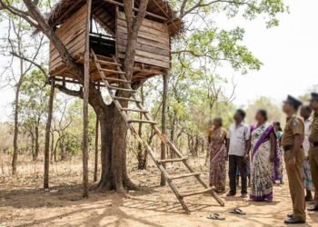 ஏணி முறிந்து விழுந்ததில் ஒருவர் பலி!