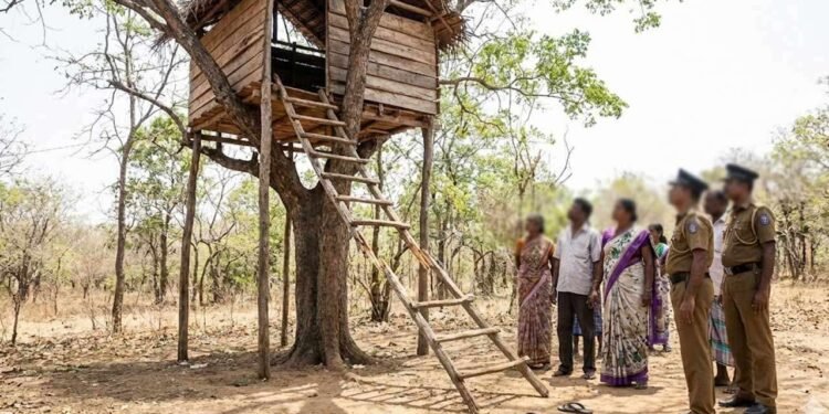 ஏணி முறிந்து விழுந்ததில் ஒருவர் பலி!