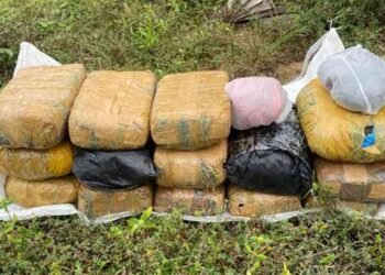 105 இலட்சம் பெறுமதியான கஞ்சா மீட்பு