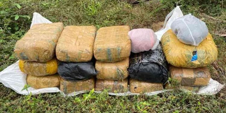 105 இலட்சம் பெறுமதியான கஞ்சா மீட்பு