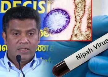 நிபா வைரஸ் பரவல்: இலங்கையில் விசேட கண்காணிப்பு நடவடிக்கை!