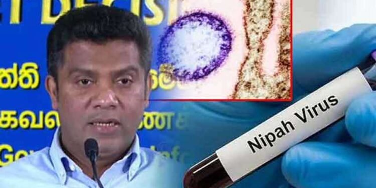 நிபா வைரஸ் பரவல்: இலங்கையில் விசேட கண்காணிப்பு நடவடிக்கை!