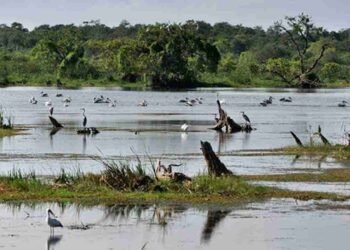 உலக சதுப்பு நில தினம் இன்று!