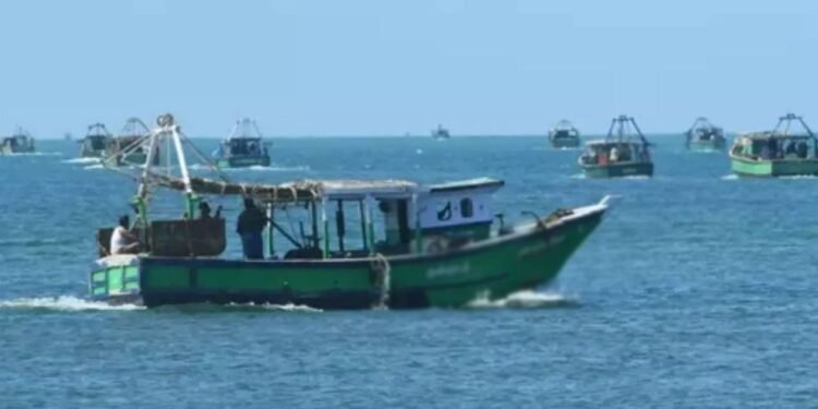 எல்லை தாண்டிய மேலும் 25 இந்திய மீனவர்கள் கைது