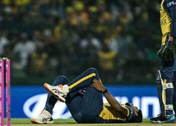 உலக கிண்ண கிரிக்கெட் தொடரில் இருந்து விலகிய மதீஷ பத்திரண