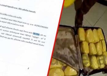 அழிக்கப்படும் அபாயகரமான மருந்துகள் தொடர்பில் சுற்றறிக்கை