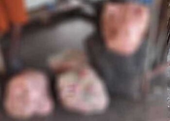 நுகர்வுக்கு உதவாத கோழிகளை விற்பனை செய்து மோசடி!