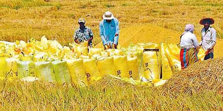 விவசாயிகளுக்கு பிரதி அமைச்சர் வழங்கிய உறுதி