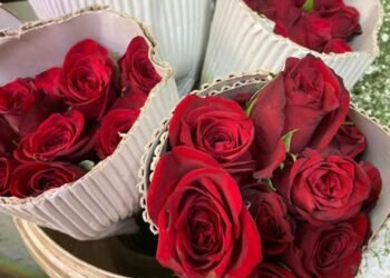 நுவரெலியாவில் ரோஜாப் பூவின் விலை சடுதியாக அதிகரிப்பு