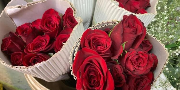 நுவரெலியாவில் ரோஜாப் பூவின் விலை சடுதியாக அதிகரிப்பு