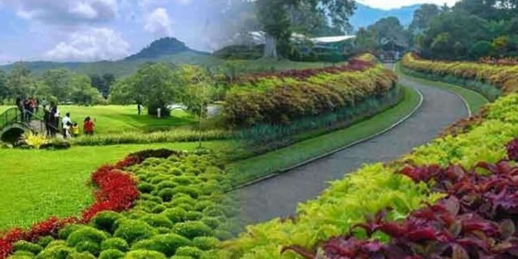 ஒரு பில்லியனை கடந்த தாவரவியல் பூங்காக்களின் வருமானம்