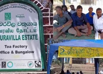 மஸ்கெலியா கவரவில தோட்டத் தொழிலாளர்களின் போராட்டம் வெற்றி