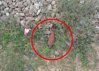 மோட்டார் குண்டுகள் மீட்பு