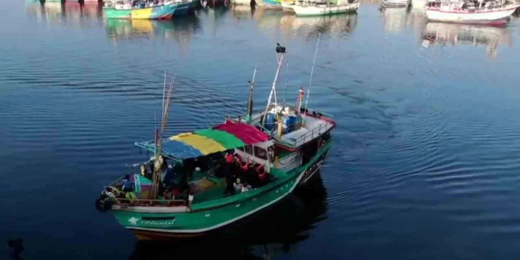 தென்கடலில் கண்டுபிடிக்கப்பட்ட சந்தேகத்திற்குரிய படகு கரைக்கு!