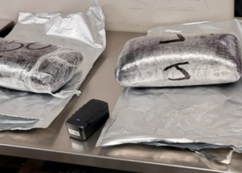 கனடா விமான நிலையத்தில் 7.8 லட்சம் டொலர் மதிப்புள்ள மெத்தம்பேட்டமைன் மீட்பு