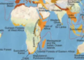 கொழும்பில் கூடும் 300-க்கும் மேற்பட்ட சர்வதேச தோல் நோய் நிபுணர்கள்