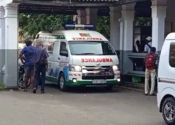 ரயில் பாலத்தில் விபத்து: வெளிநாட்டுச் சுற்றுலாப் பயணி உயிரிழப்பு