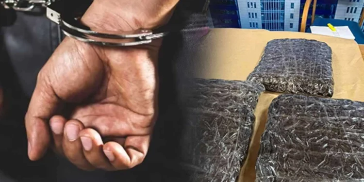 இருவர் குஷ் போதைப்பொருளுடன் கைது!