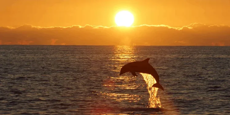 உலகை அச்சுறுத்த வரும் ‘எல் நினோ’ : 2026-ல் மாறப்போகும் காலநிலை