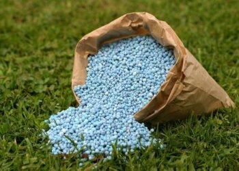 25,000 மெட்ரிக் தொன் உர கப்பல் இன்று நாட்டிற்கு