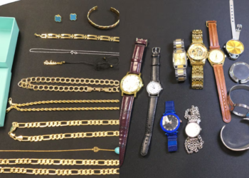 கனடாவில் 100-க்கும் மேற்பட்ட வீடுகளில் கொள்ளை: 33 பேர் கைது