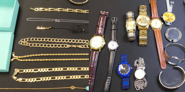 கனடாவில் 100-க்கும் மேற்பட்ட வீடுகளில் கொள்ளை: 33 பேர் கைது