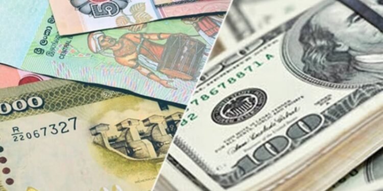 டொலருக்கு எதிராக ரூபா வீழ்ச்சி: பொருளாதாரத்தில் தாக்கம் குறித்து எச்சரிக்கை”