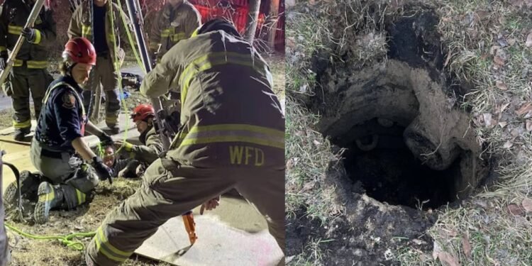 கனடாவில் பள்ளத்திற்குள் விழுந்த பெண் துணை நின்ற அதிர்ஷ்டம்