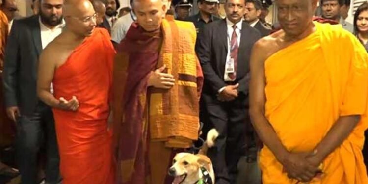 சமாதான நடைபயண குழு இலங்கை வருகை: பஞ்ஞாகர தேரர் பங்கேற்பு