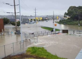 நியூசிலாந்தை தாக்கிய கடும் புயல் காரணமாக 90-க்கும் மேற்பட்ட விமானங்கள் ரத்து செய்யப்பட்டுள்ளன.