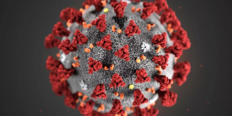 புதிய கோவிட் திரிபு – உஷார் நிலையில் இலங்கை