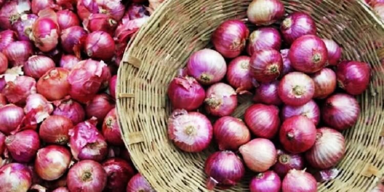 உள்நாட்டு வெங்காய உற்பத்தியை உயர்த்த விவசாய திணைக்களம் நடவடிக்கை