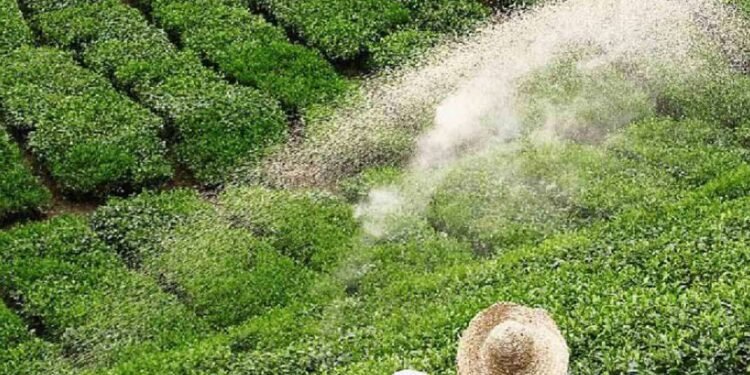 சிறு தேயிலை தோட்ட உரிமையாளர்களுக்கு மேலதிக உர மானியம் வழங்க தீர்மானம்
