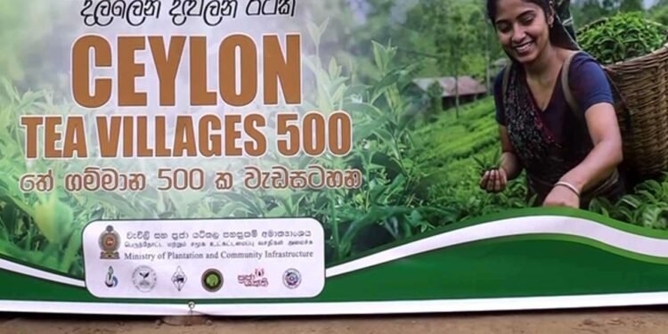 500 தேயிலைக் கிராமங்களை நிறுவும் தேசிய வேலைத்திட்டம் ஆரம்பம்