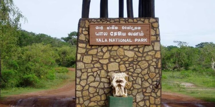யால தேசிய பூங்காவில் துப்பாக்கிச் சூடு ஒருவர் காயம்